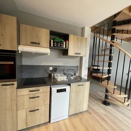 Apartament Duplex Confort Le Pre Marty Albepierre-Bredons